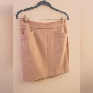 Ann Taylor Beige Pencil Skirt